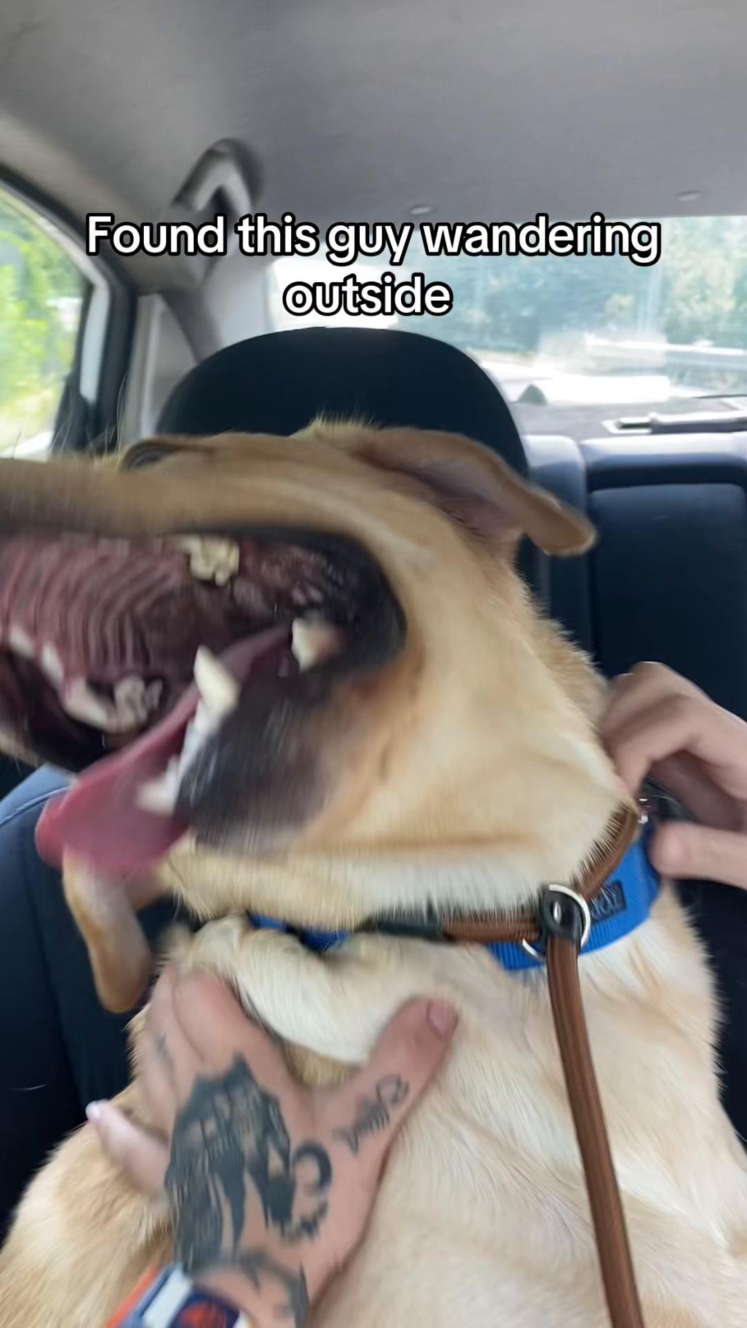 @⠀ ⠀