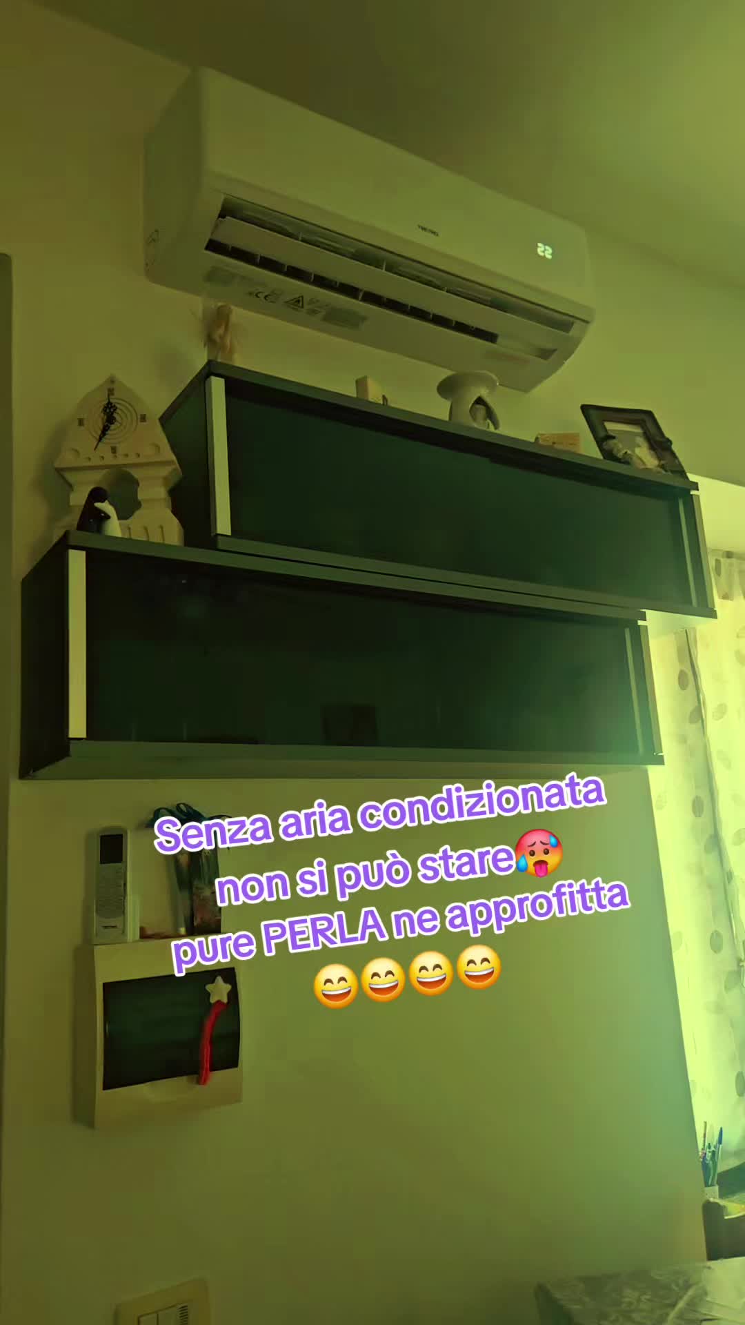 @🐺PANTERA80🐺