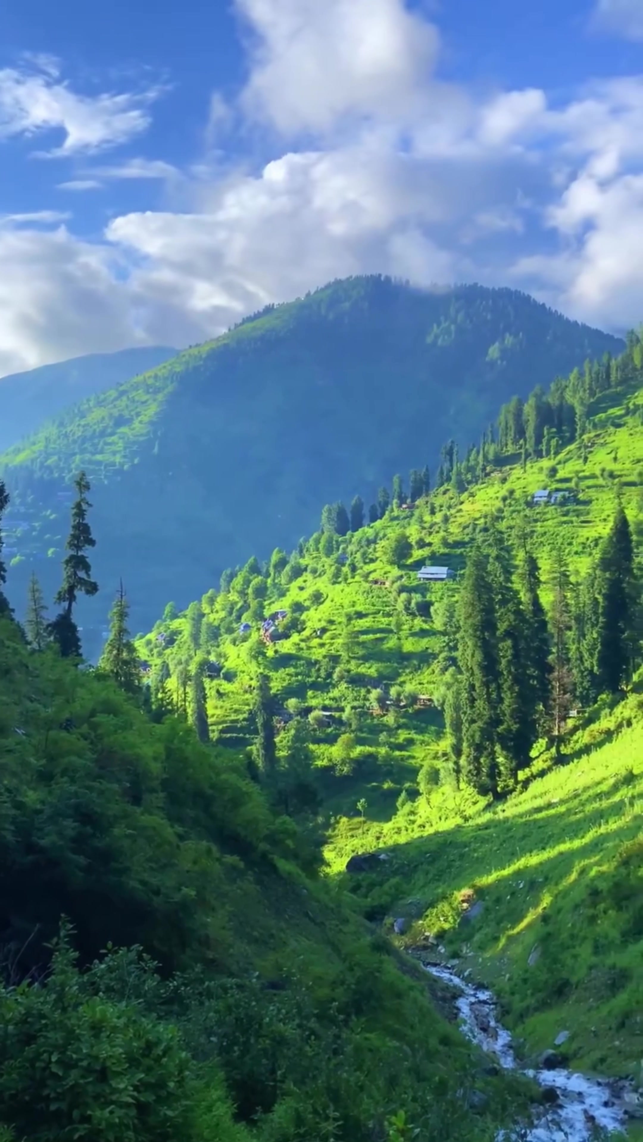 @World 🌍 beauty