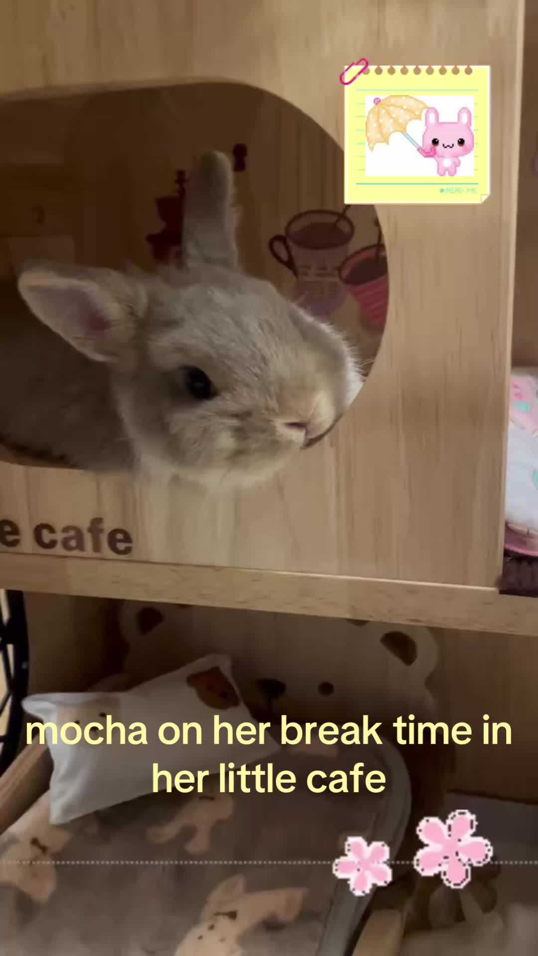 @decay