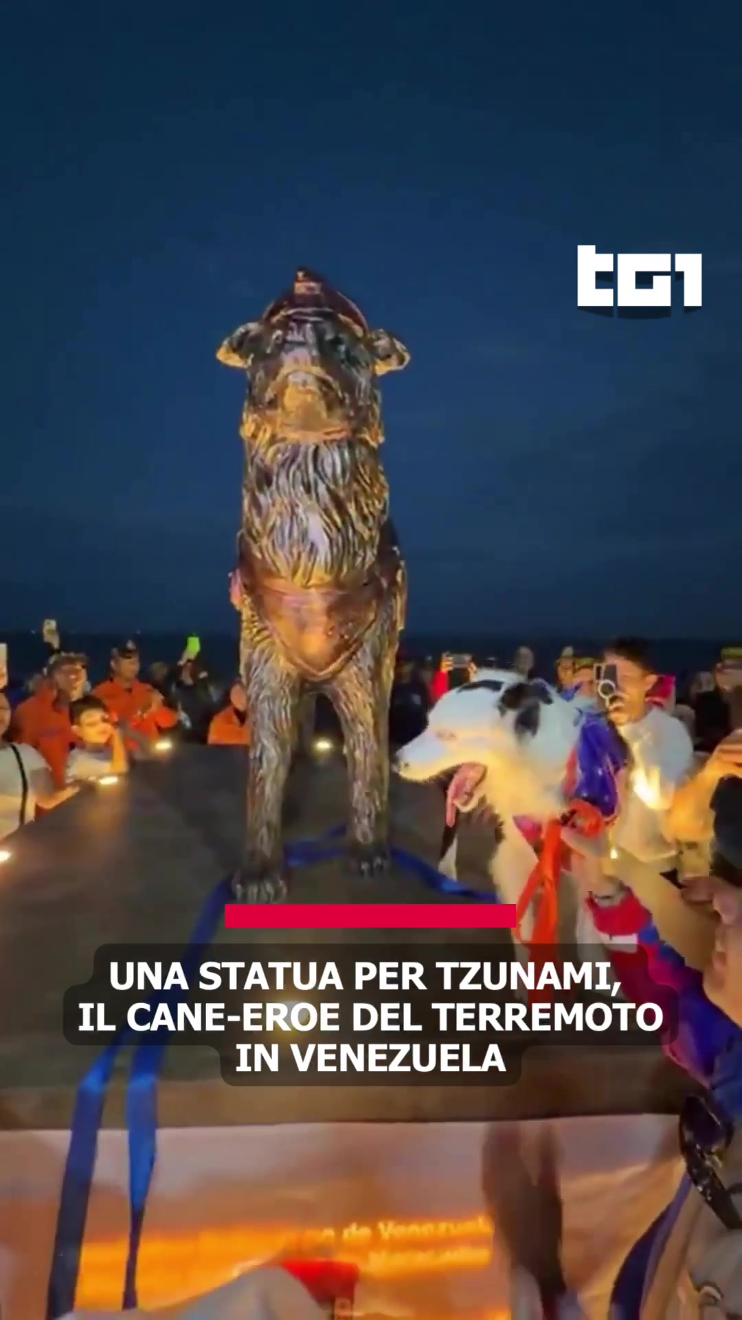 @Tg1Rai
