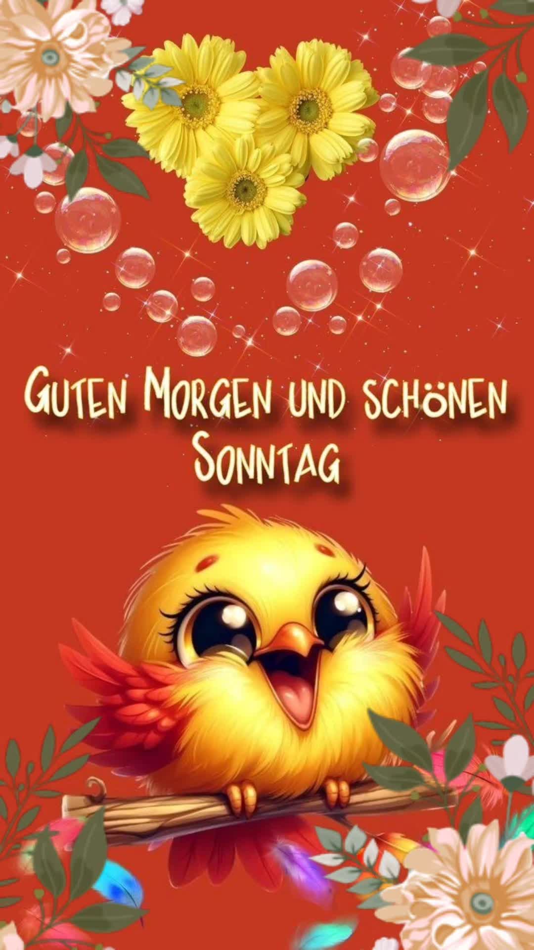 @stefangeilhausen3
