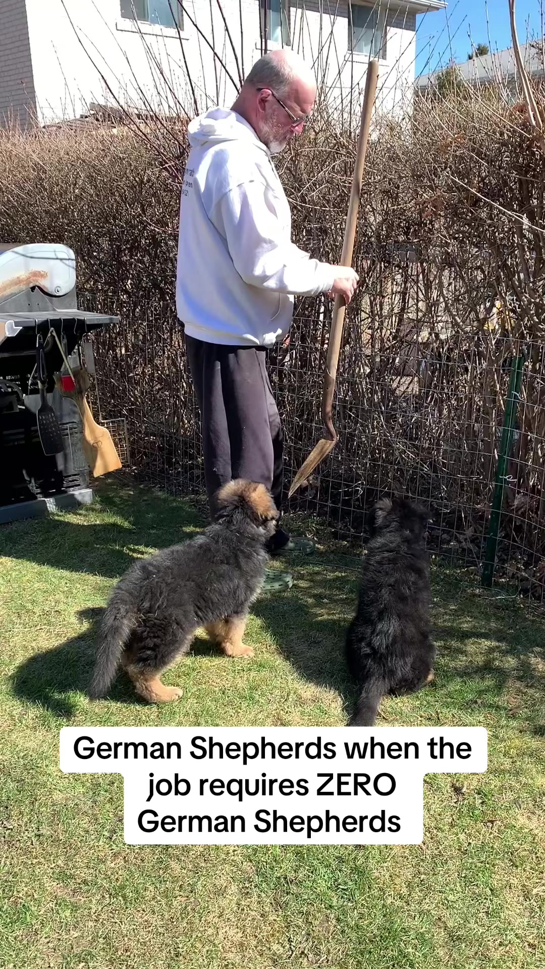 @ksdoggos