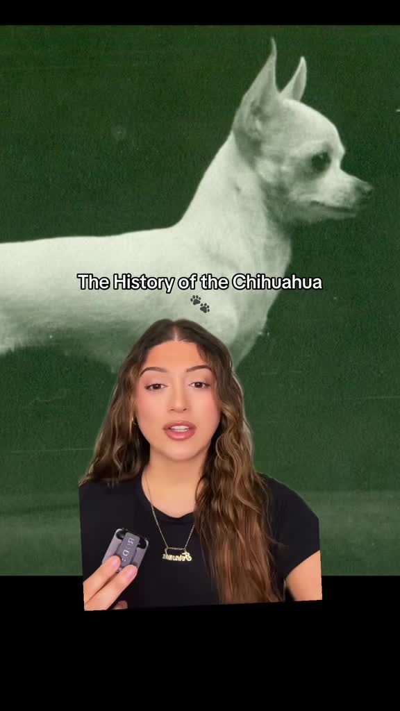 @Fernanda Cortes