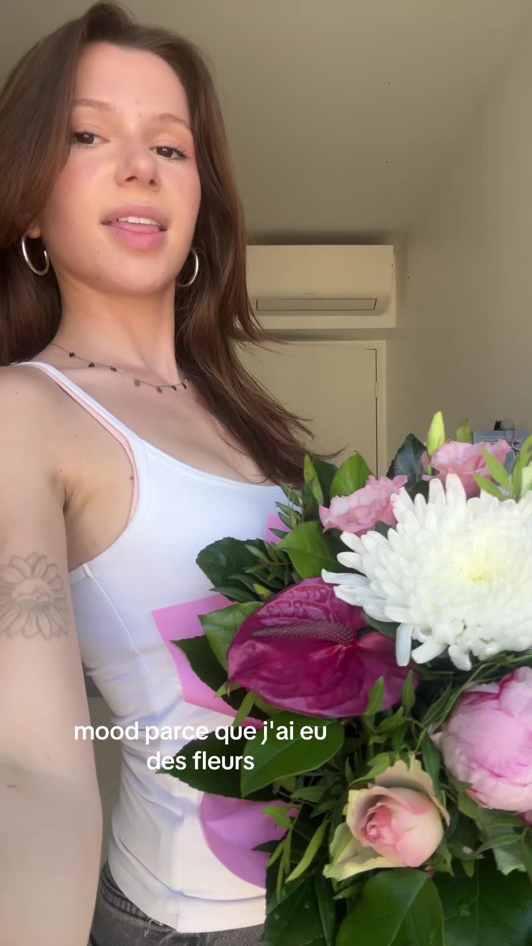 @apolline