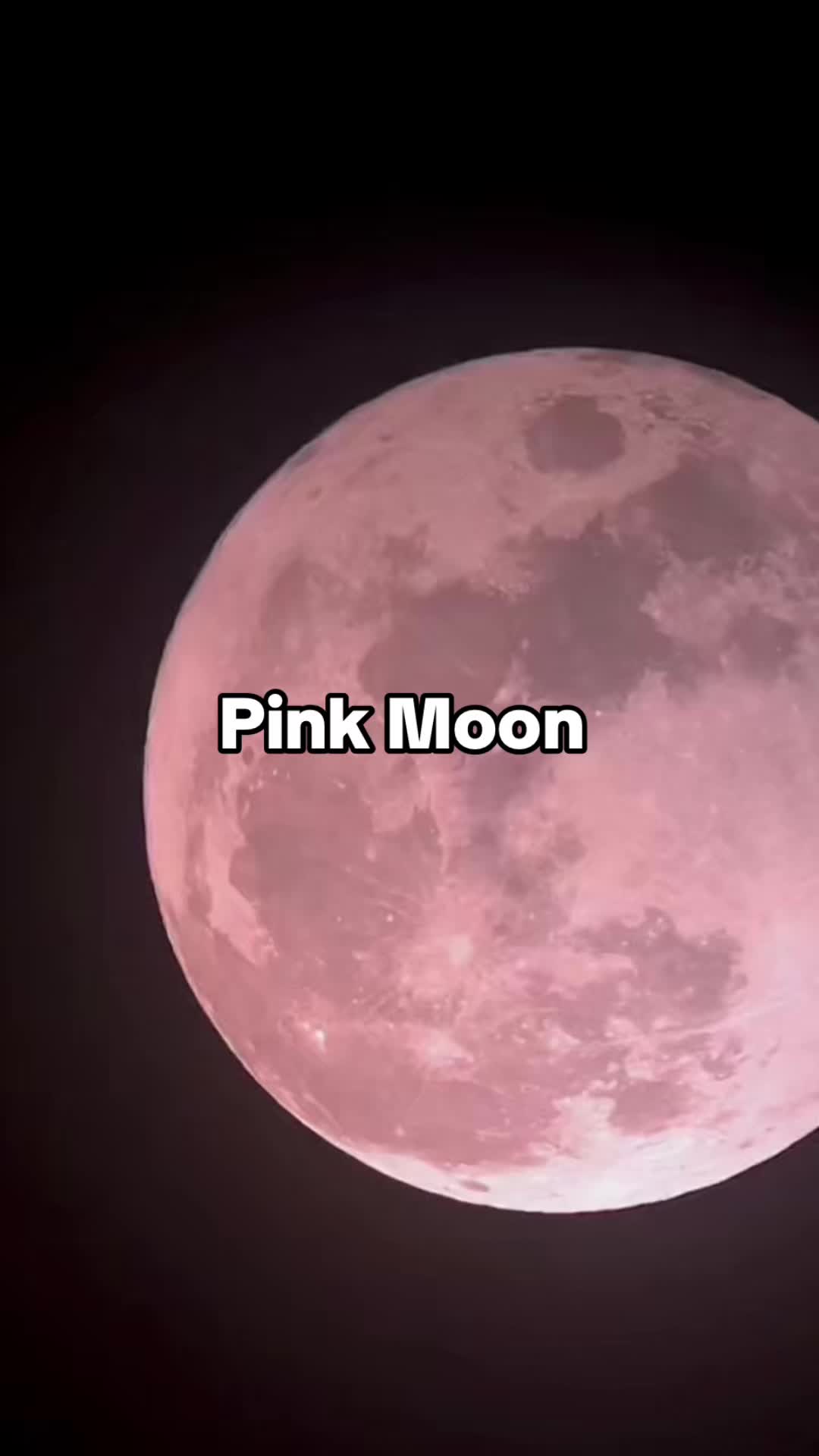 @𝑪𝒉𝒂𝒏𝒐/𝐏𝐚𝐮𝐥