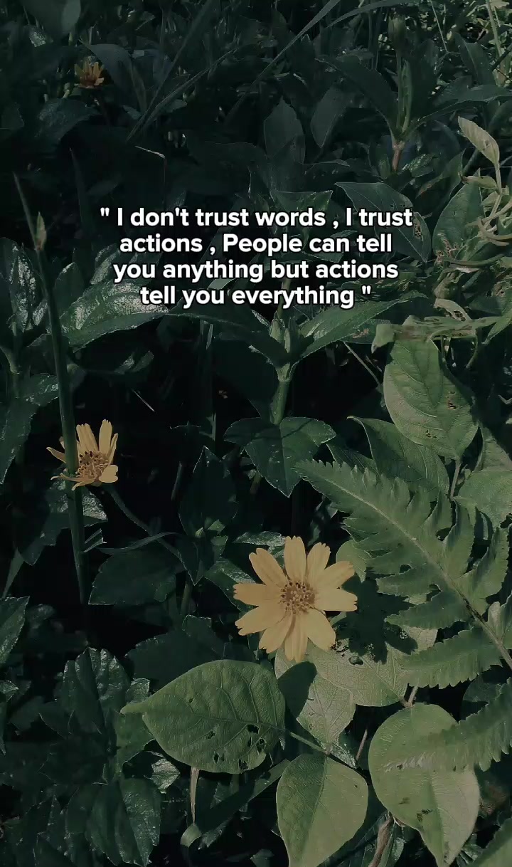 @Tash Shah Zuliani