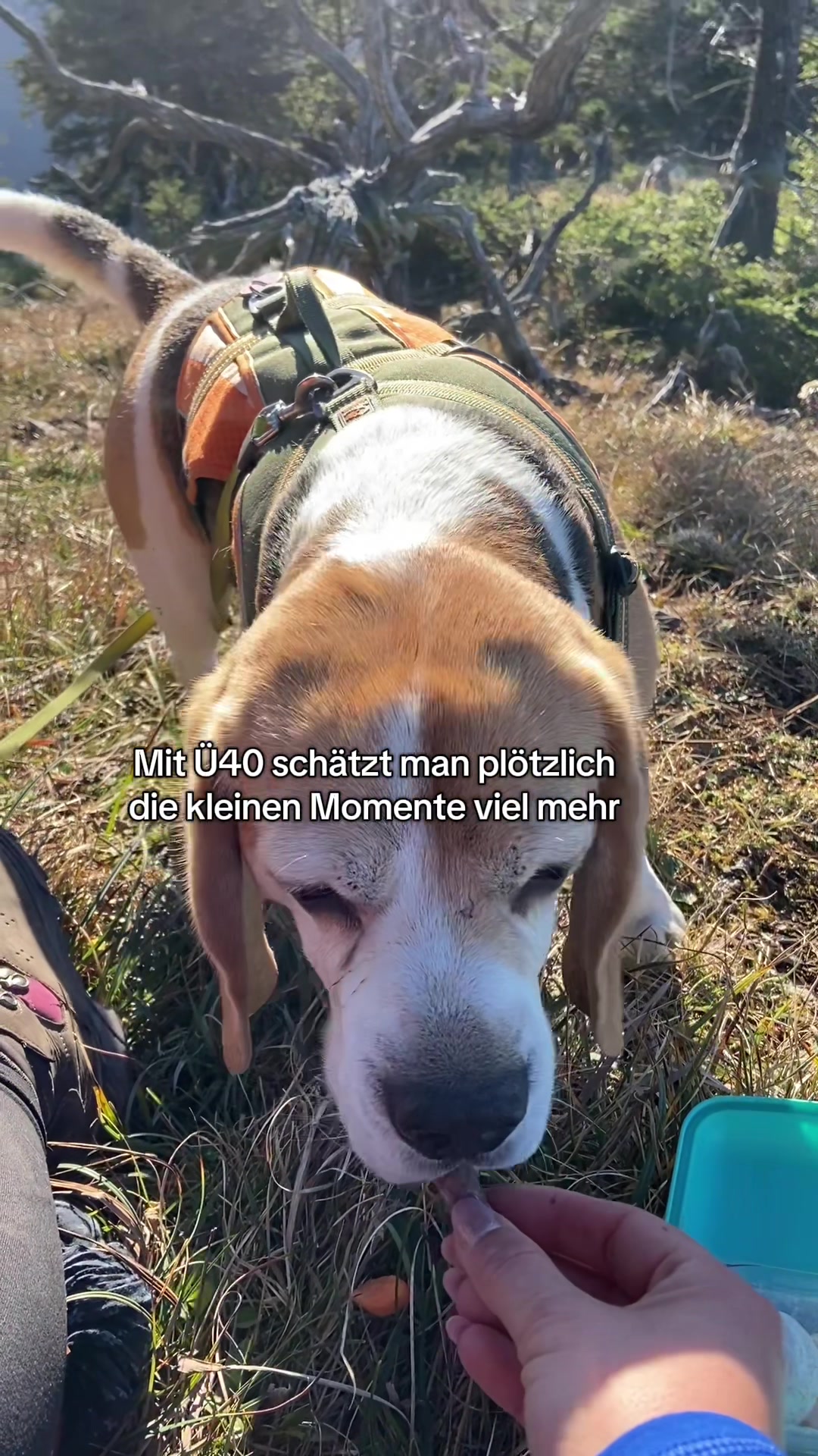 @⛰️ Allgäu entdecken mit Lenka