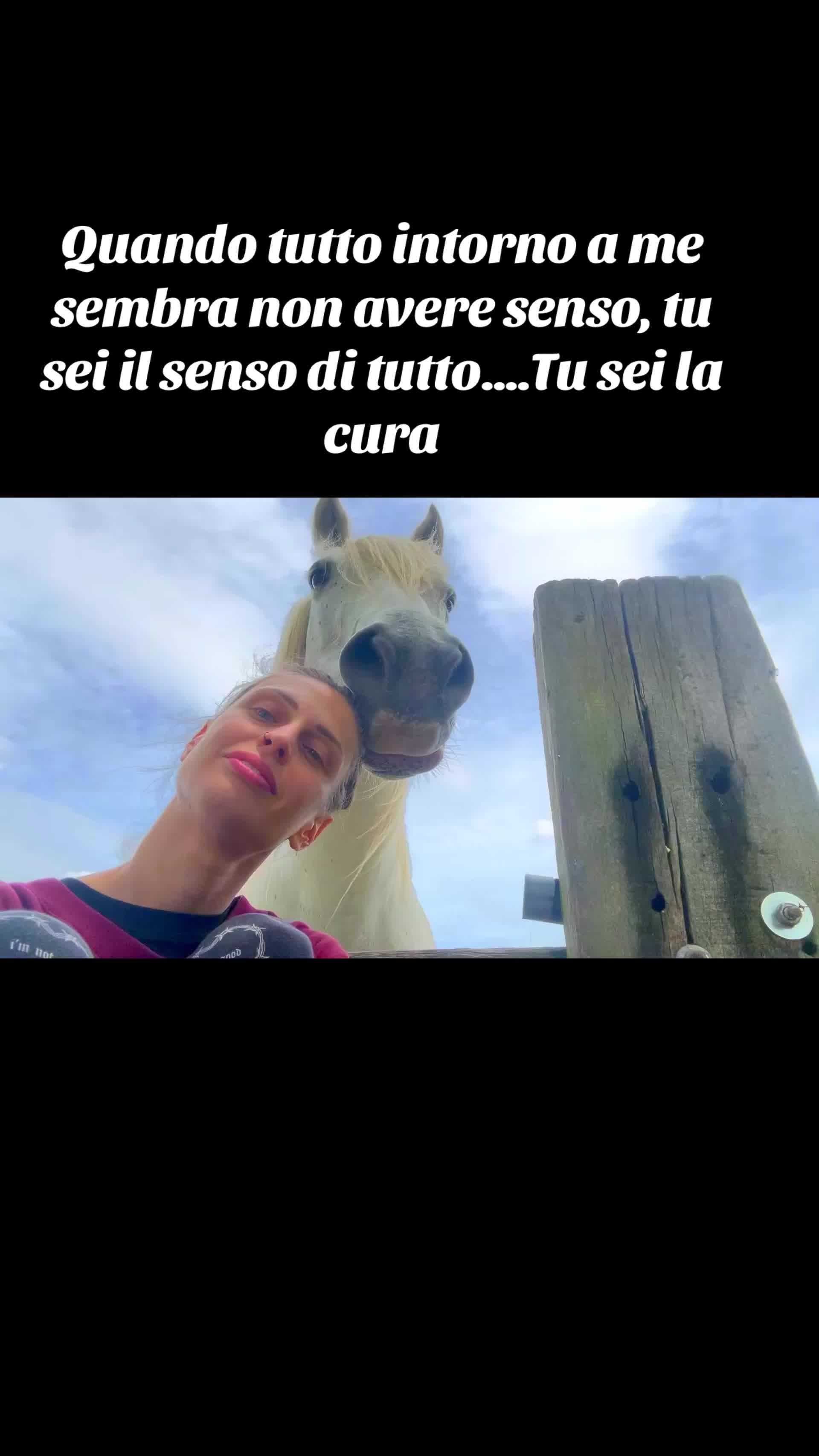 @Passione animali ❤️