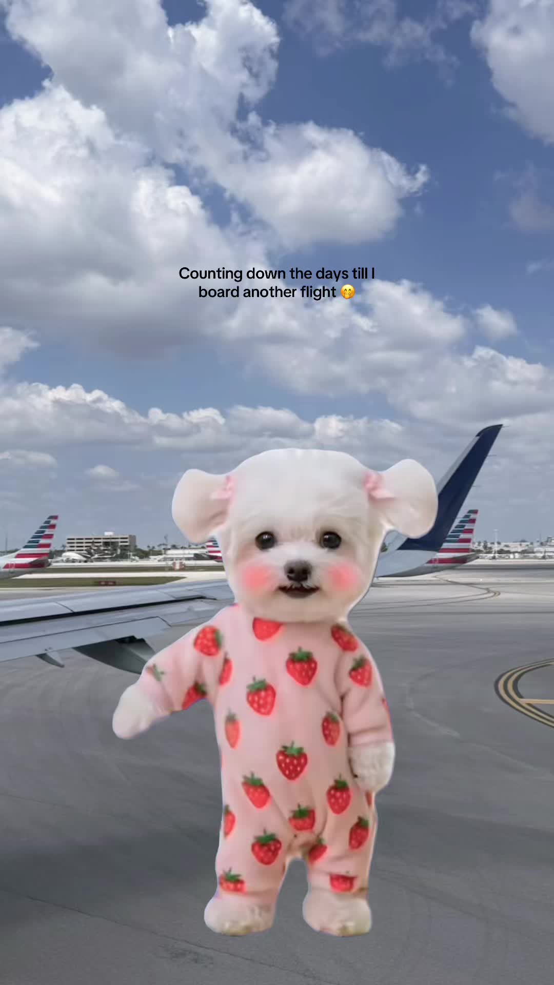 @Joanna |Adventure Travel 🗺️✈️