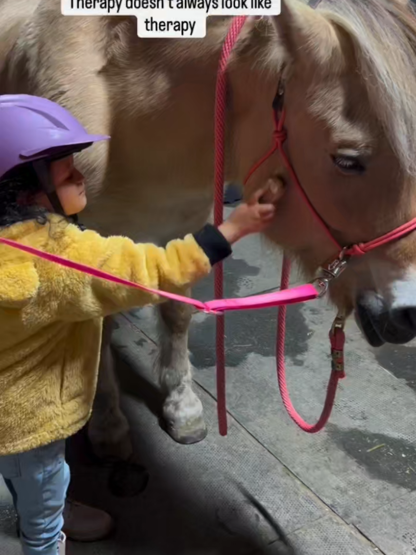 @streamhorse