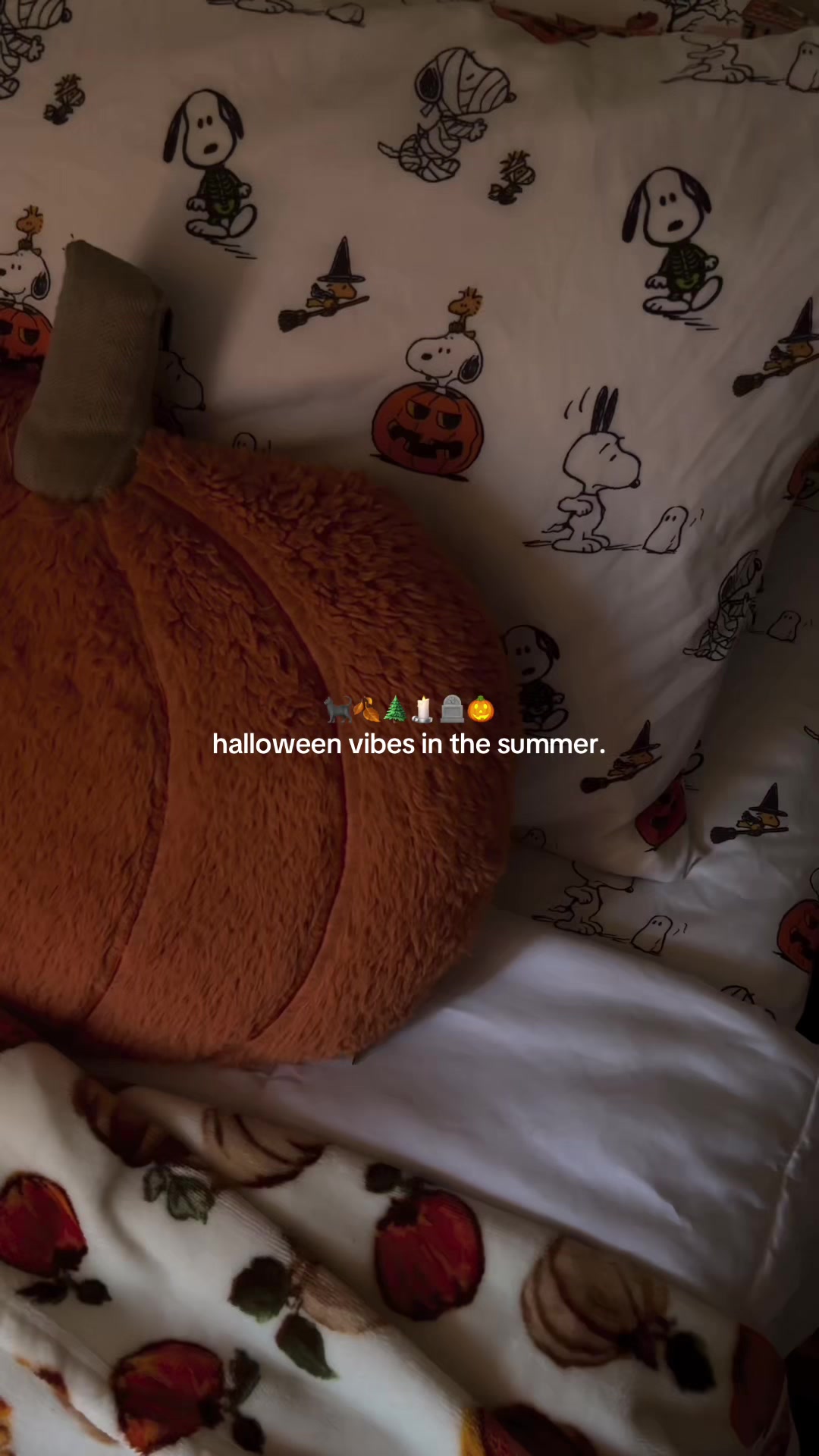 @Kourtney