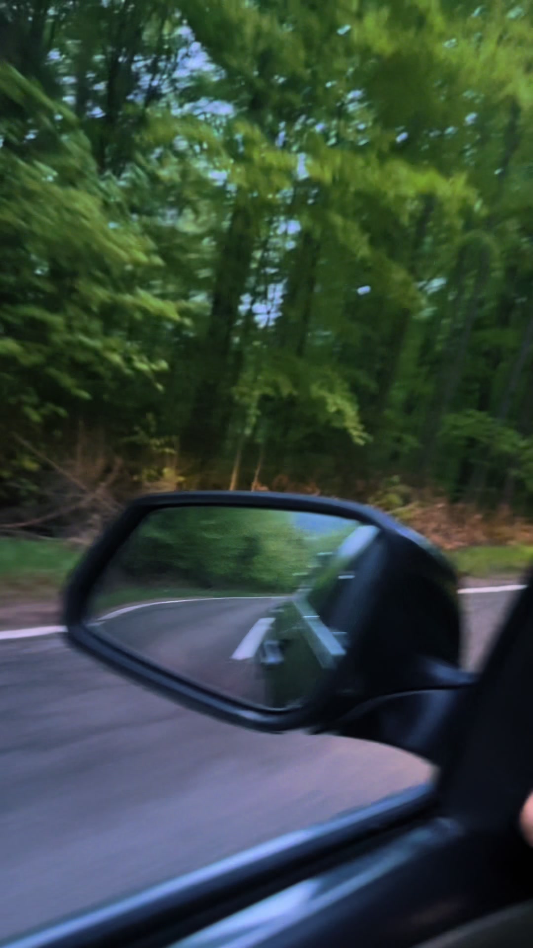 @L.u.c.i.c.a🖤