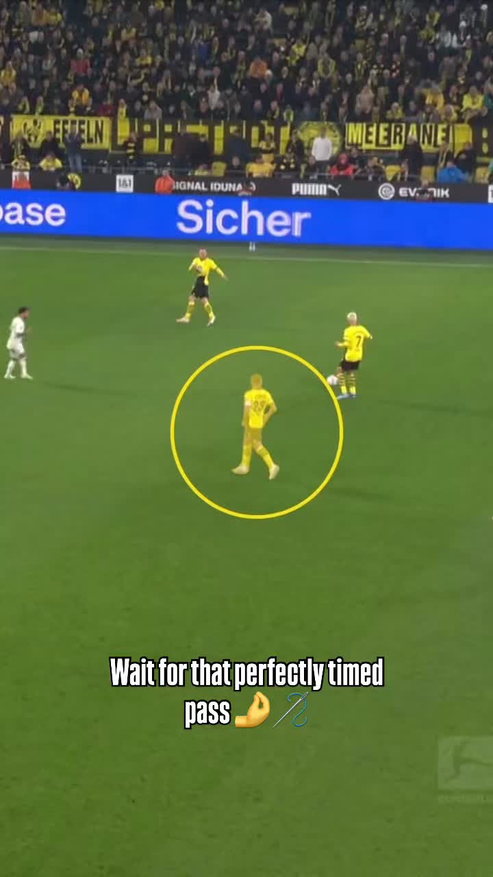 @Borussia Dortmund