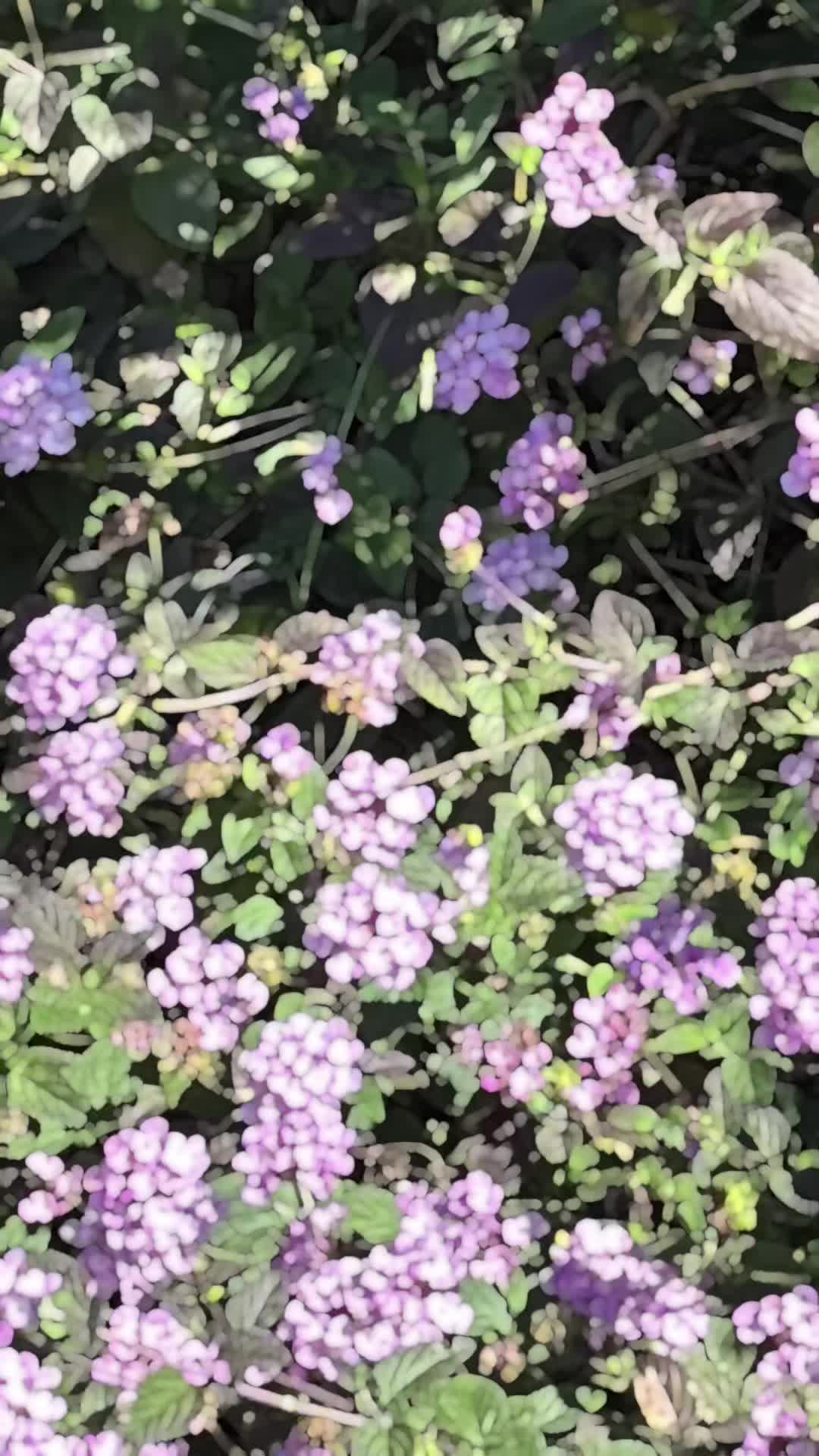 @SmileySarah32 🤡