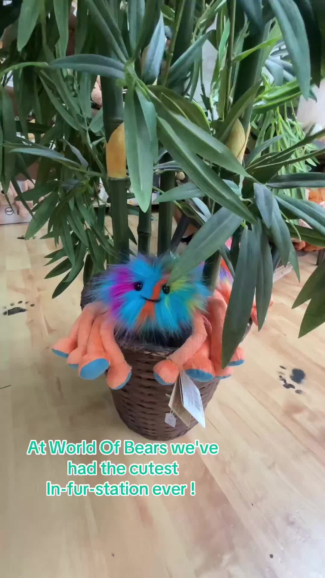 @World of Bears