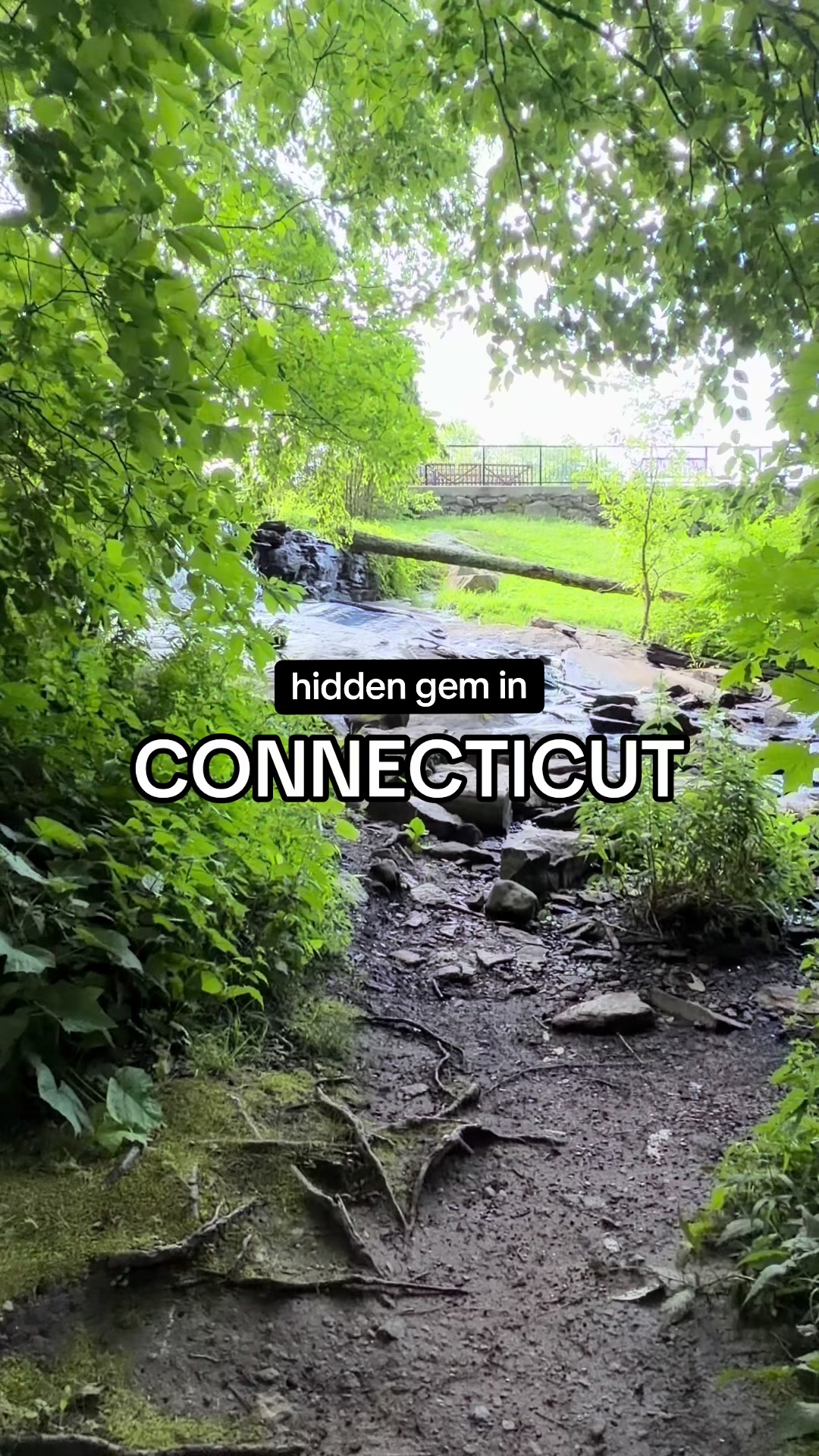 @tasteconnecticut