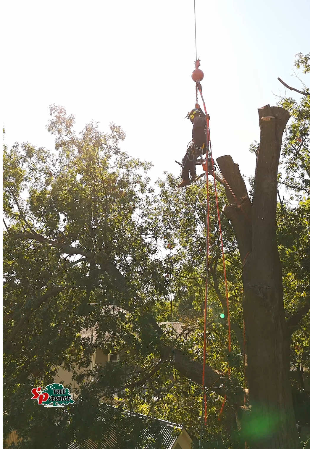 @SPTreeService