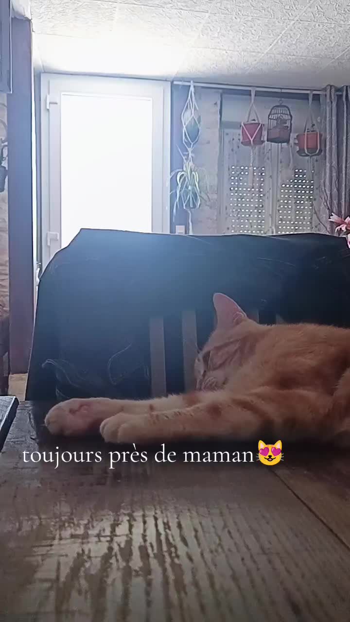 @Carole Guillemeau