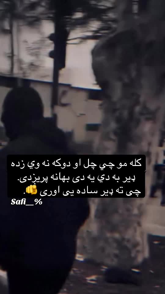 @safi.tg2026