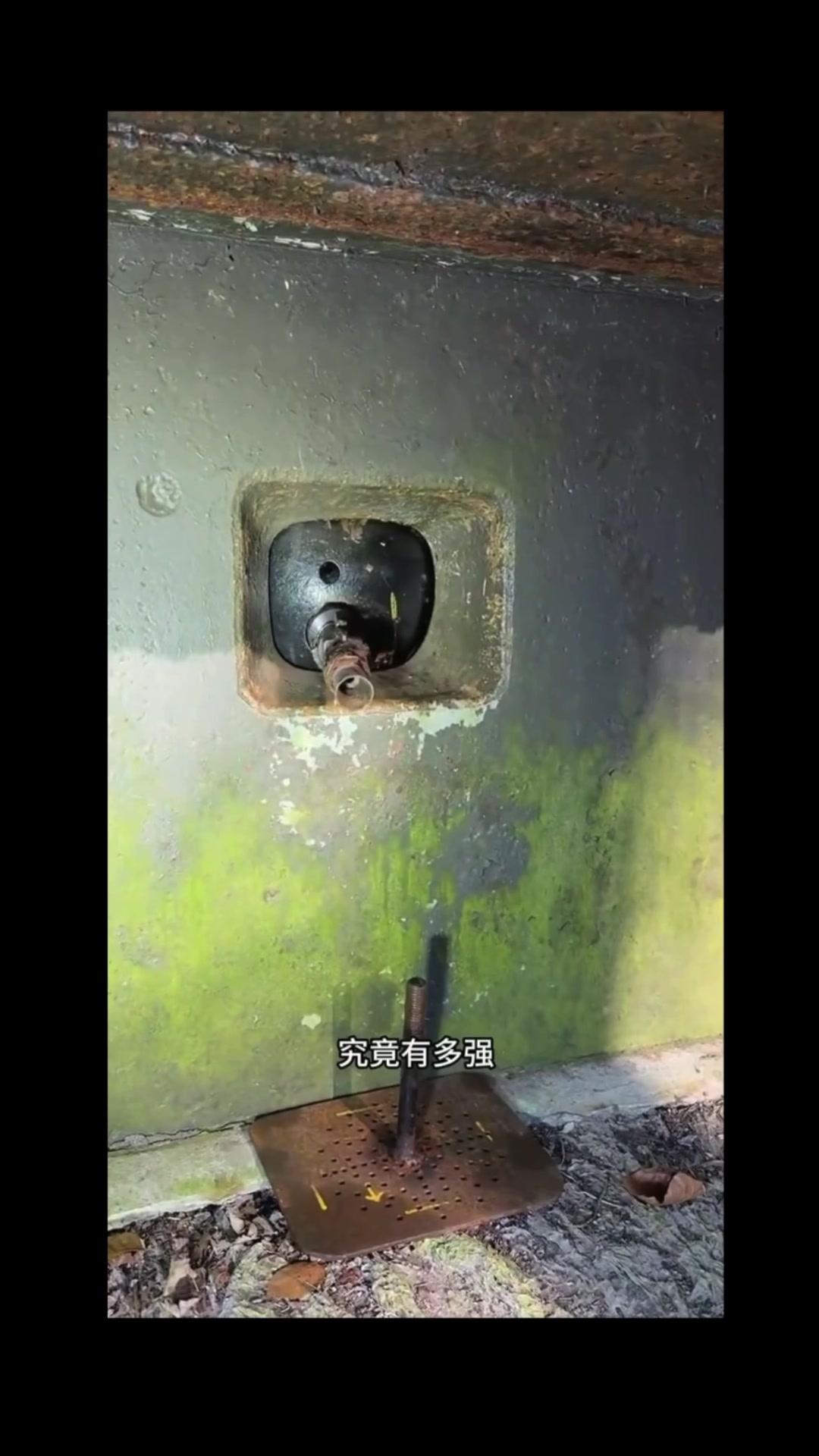 @澳中文传