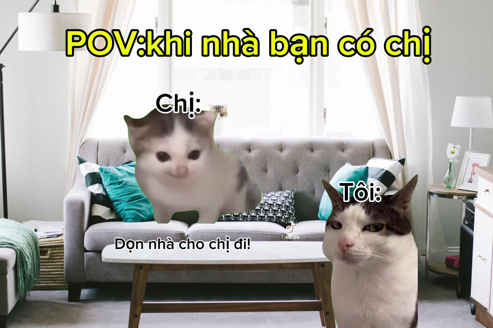 @Mewmeme