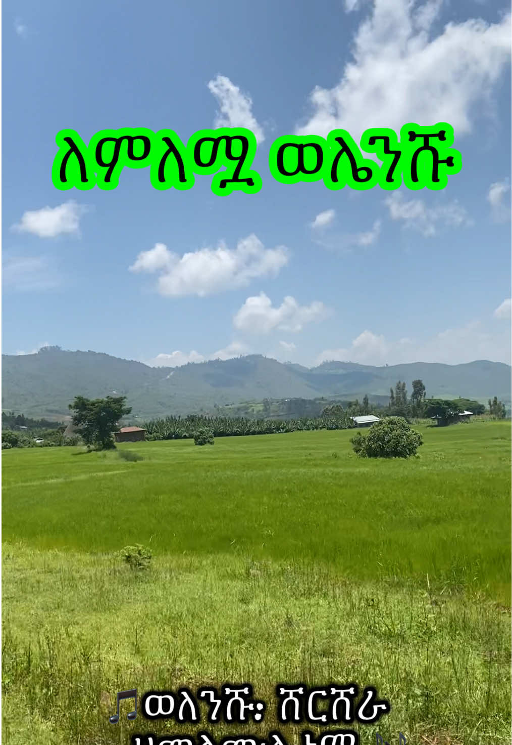@የቡታጅራ ባላባት