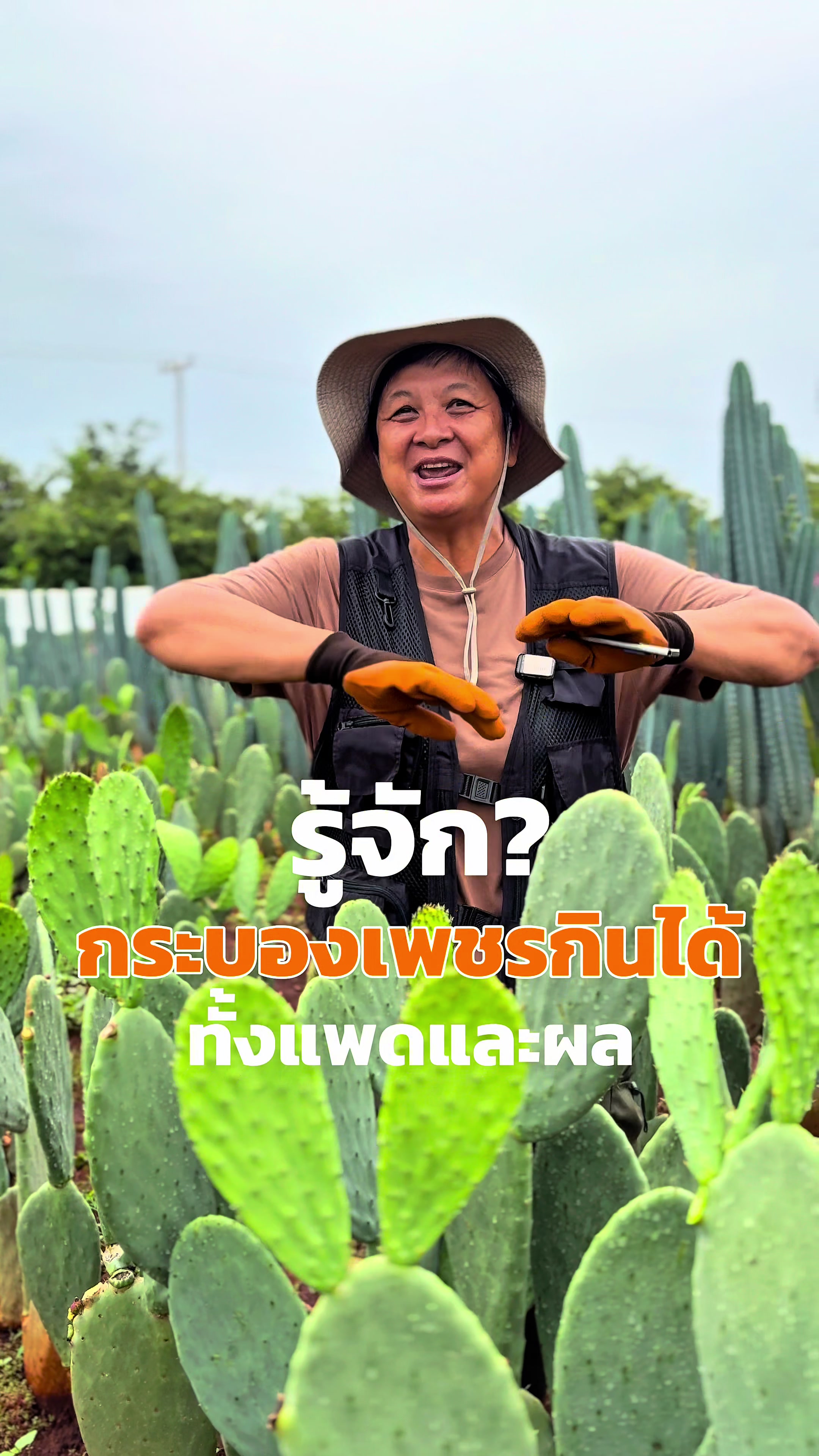 @ไร่วันยังขำ Oneyoungkham farm