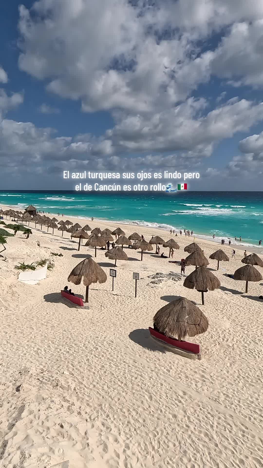 @alfredotorres3650