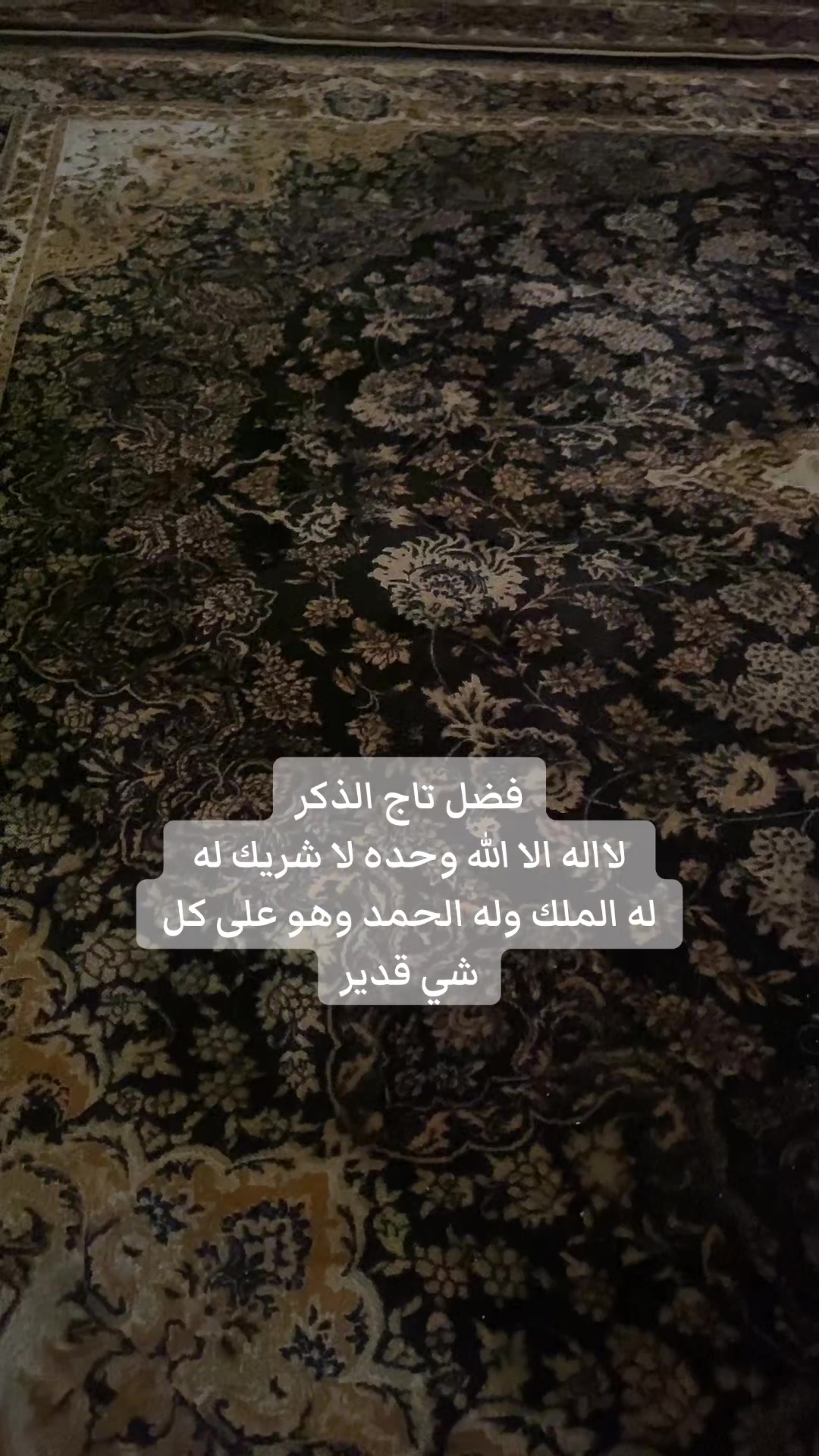 @✨ بودكاست سلمان ✨