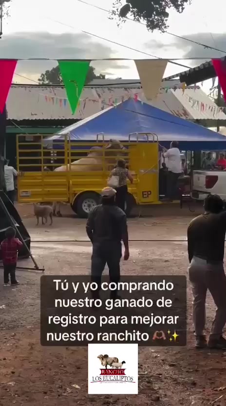 @maya