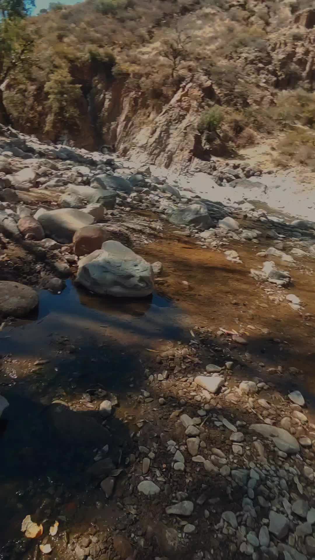 @karina.Era