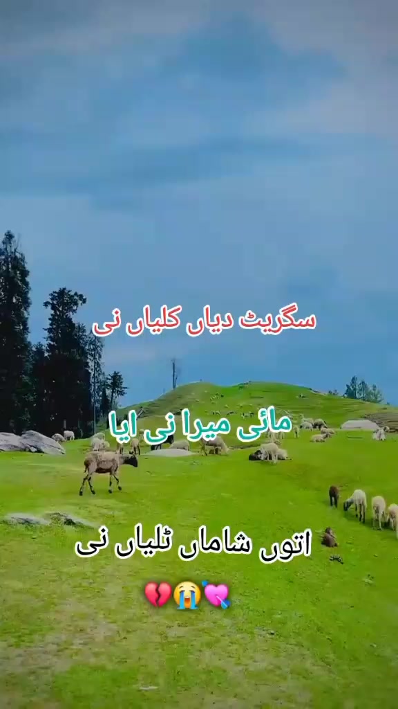 @بادشاہ