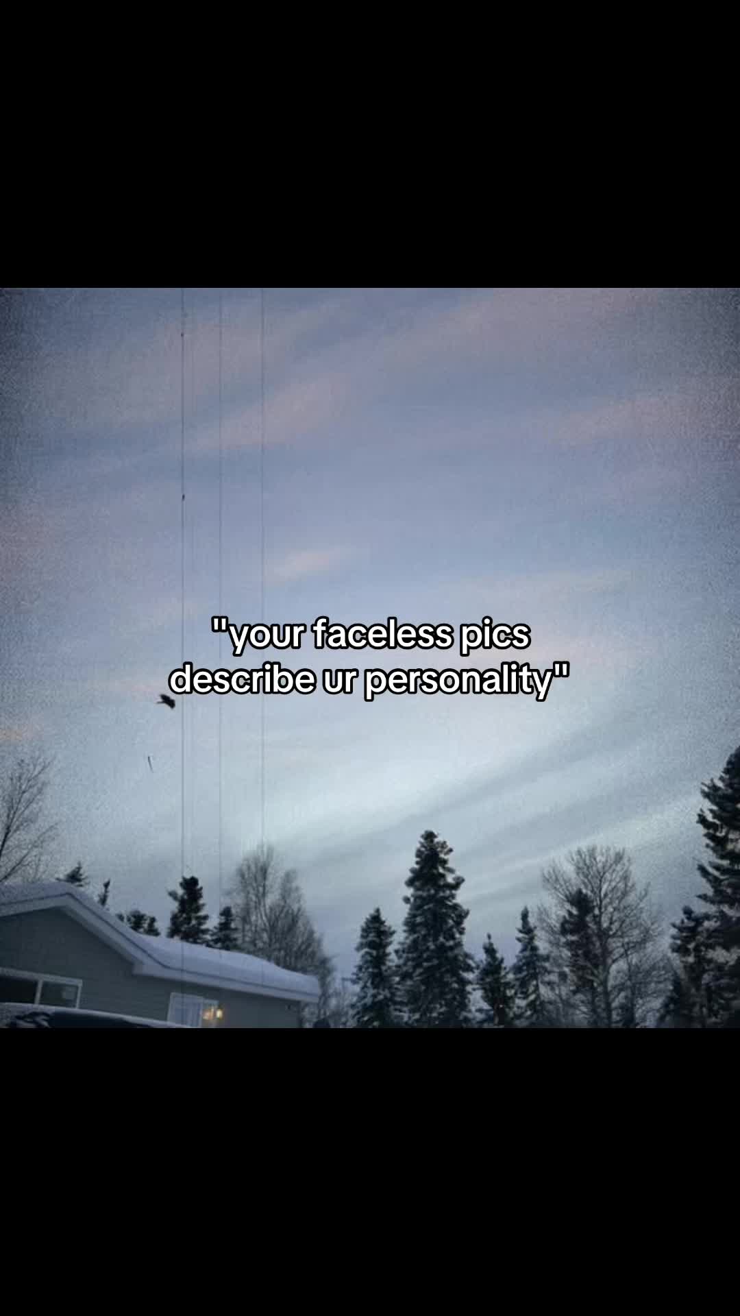 @gracie🦝