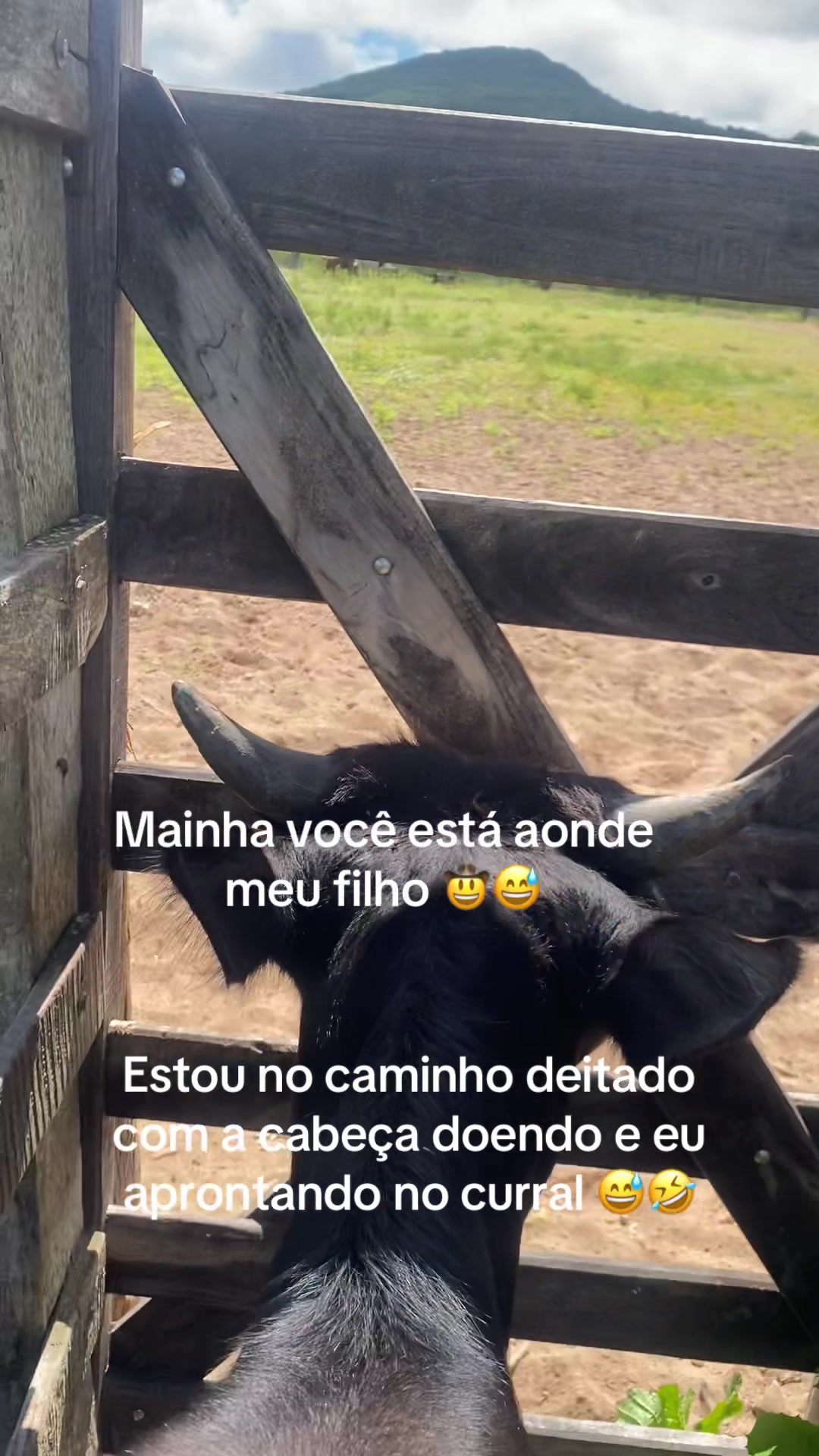 @João Carlos