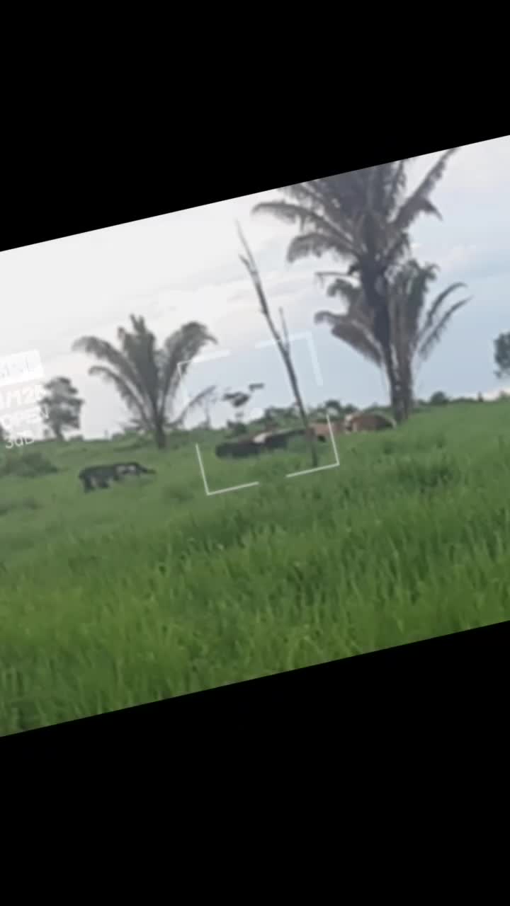 @🇺🇸PEDRO_TXC🇧🇷