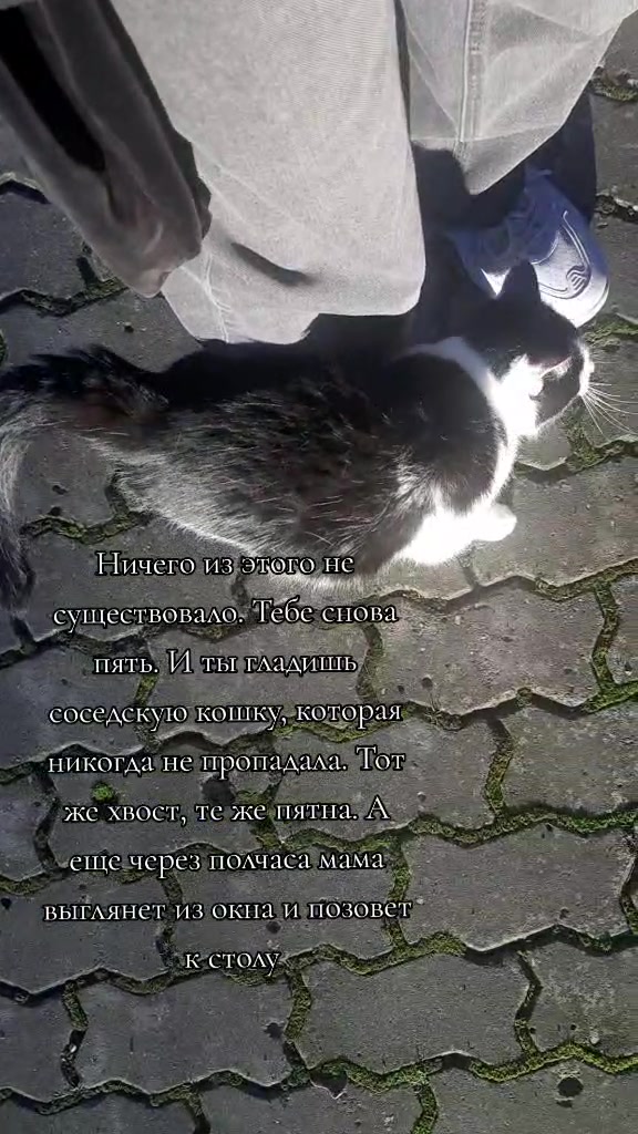 @Путешествую по своей голове🌌