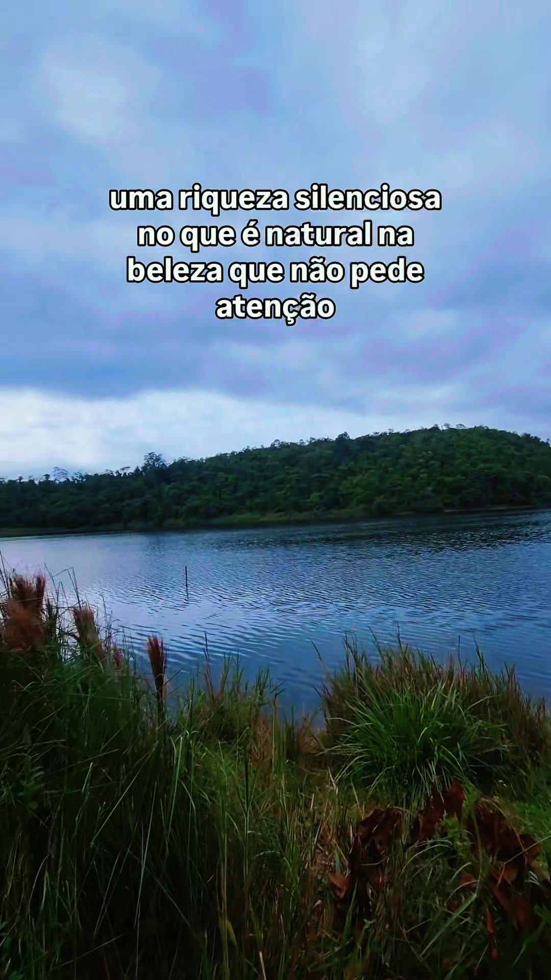 @jeremias marciano