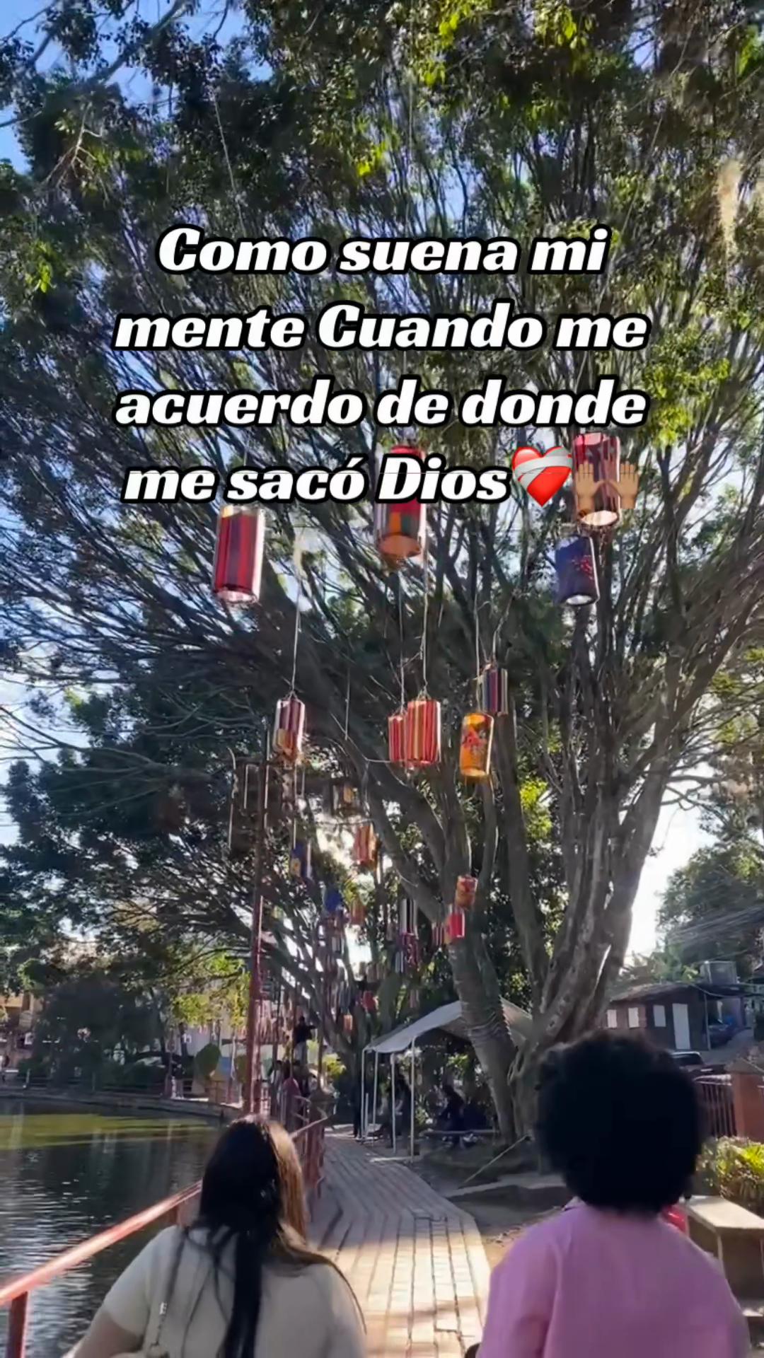 @Salinas14