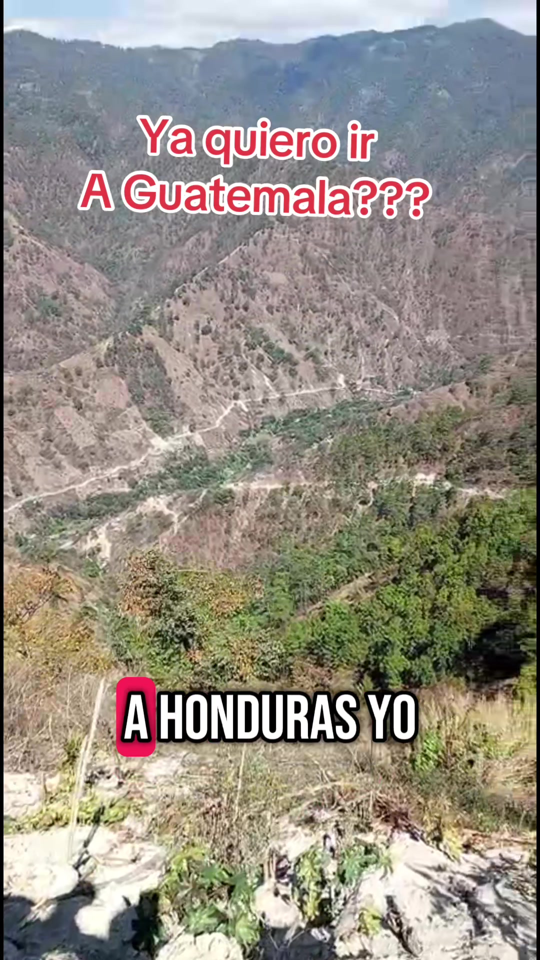 @*Lina*