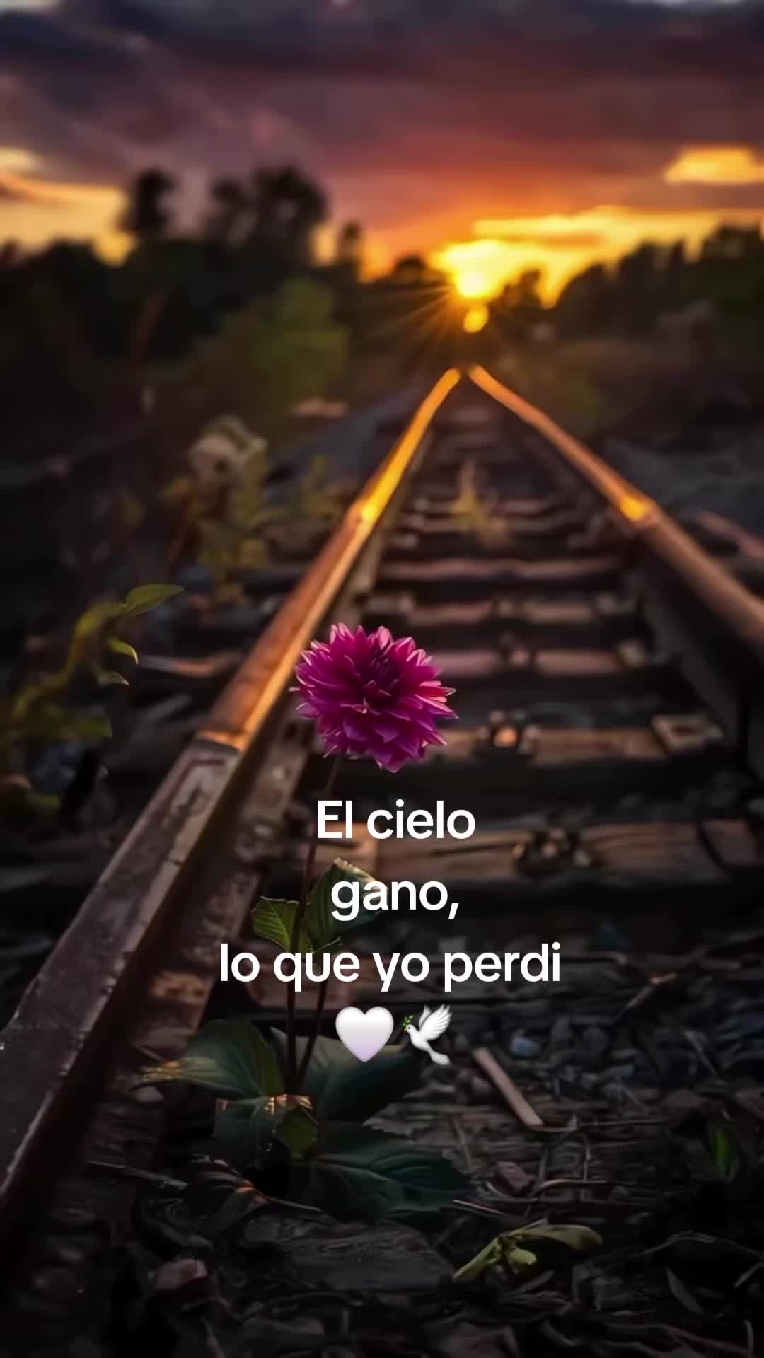 @🌺 christy464 🌺🦐