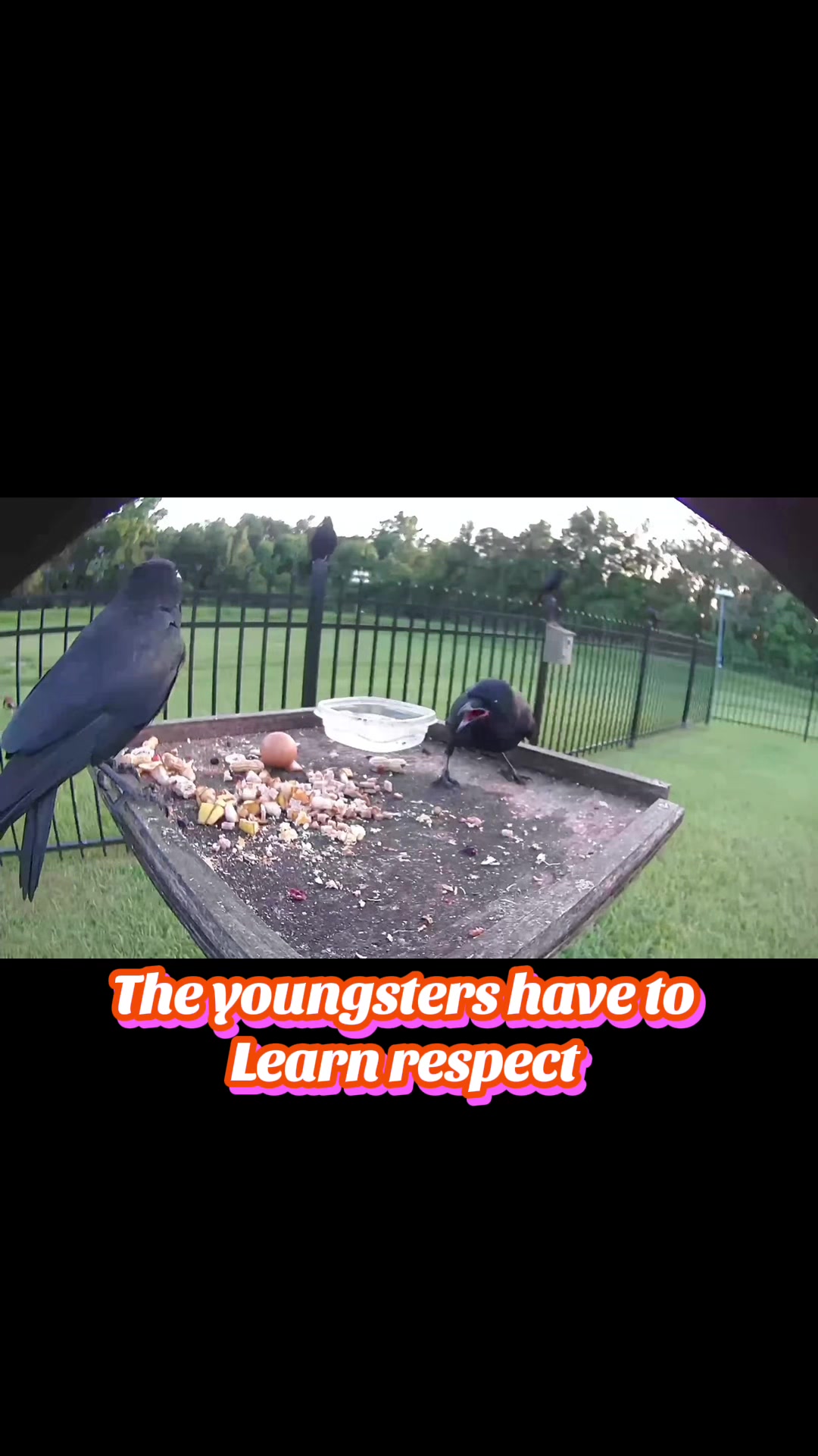 @Buffy_In_Louisiana