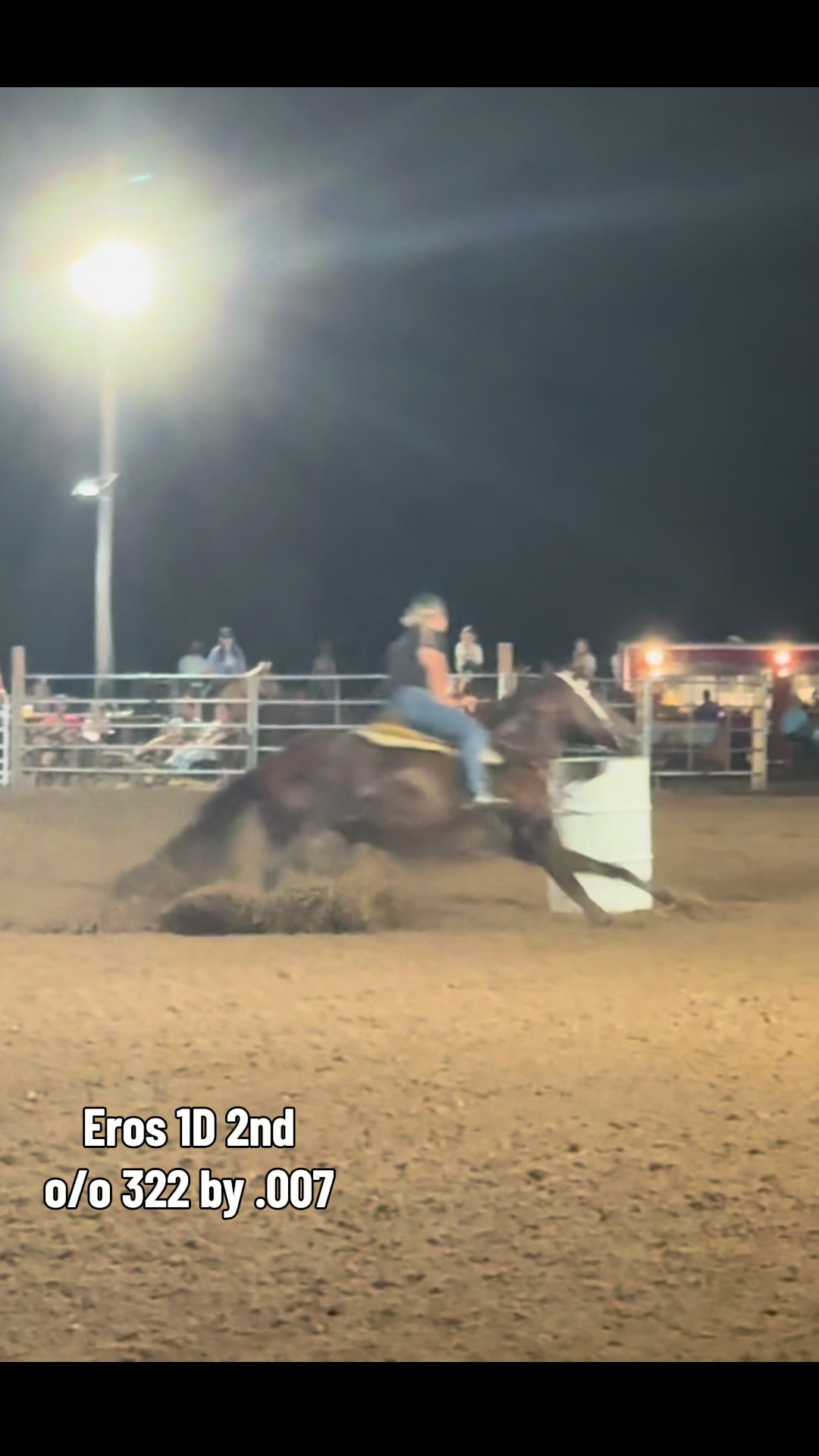 @KY Performance Horses