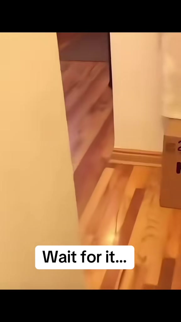 @Itsohhkay