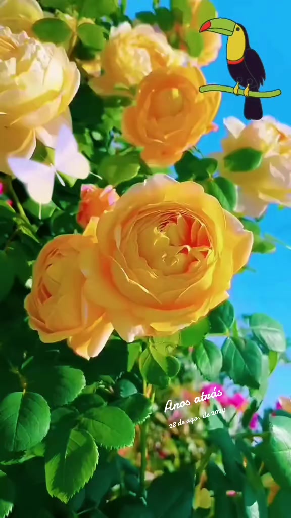 @mensagens do DIÁRIAS pra vc ❤️