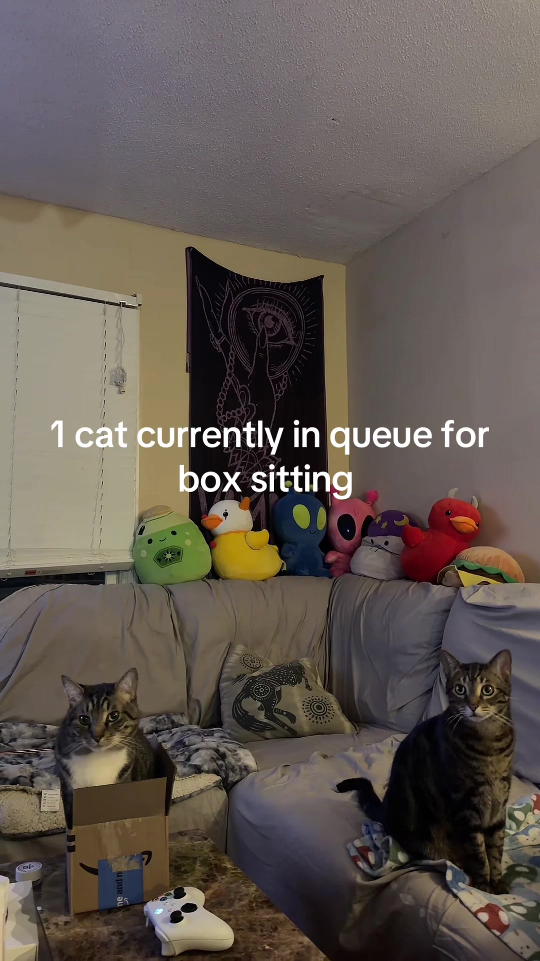 @Jessica Lynn