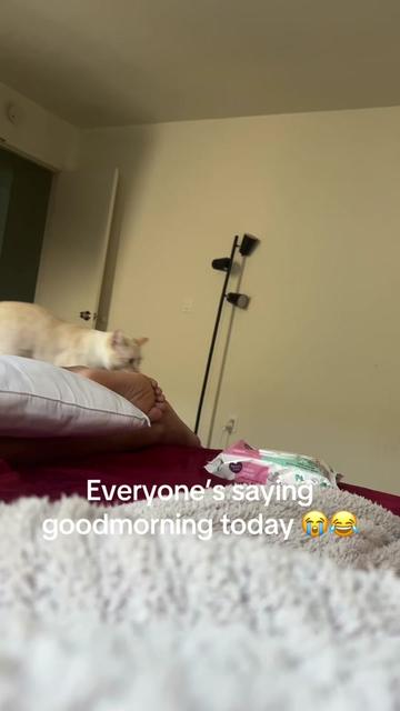 @urmom👑💗