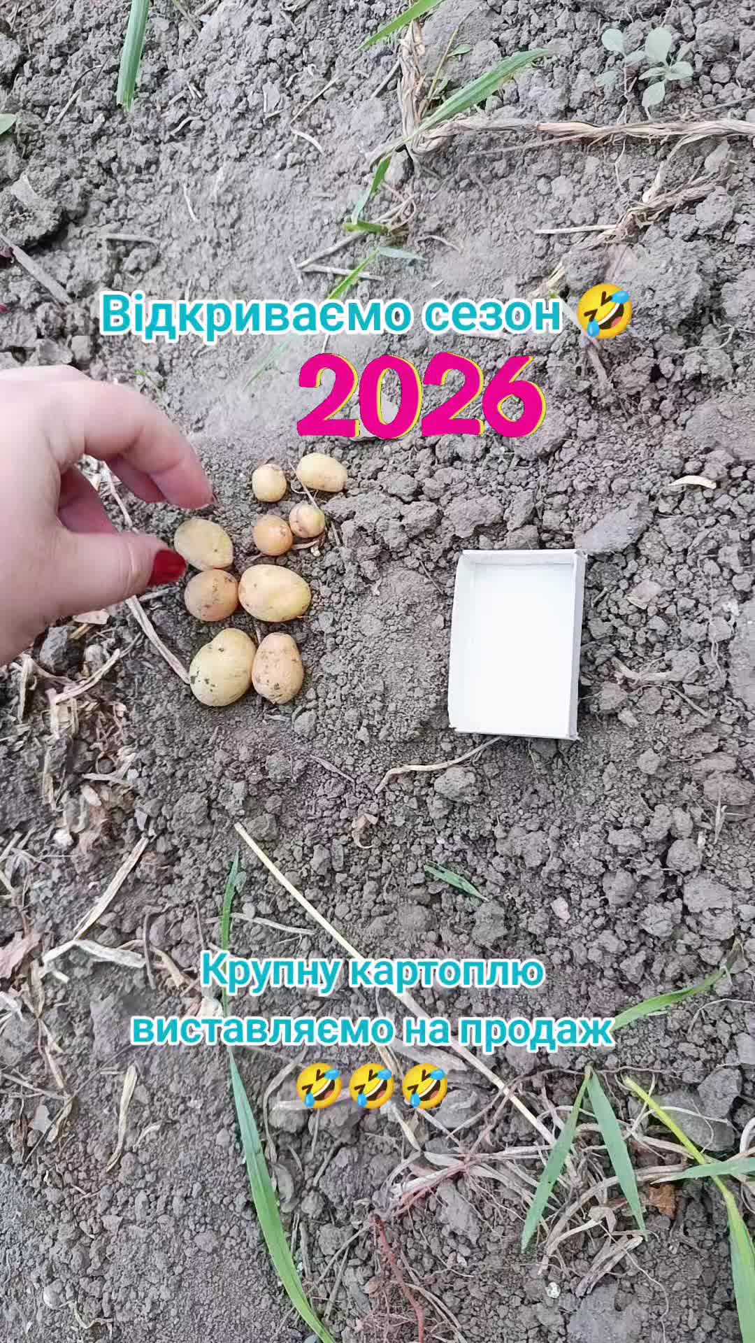 @Крис