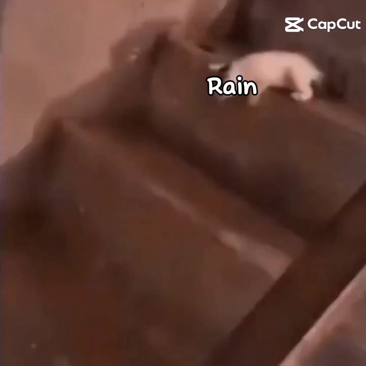 @Jaden✝️