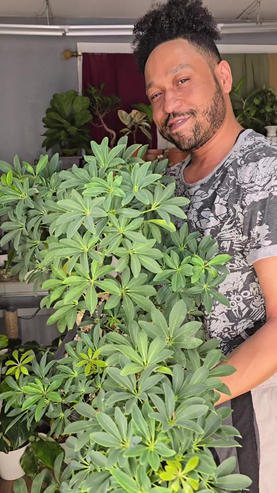@JT - BigEGOPlants